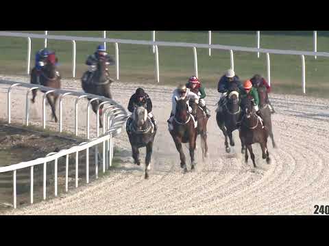 2020.11.08. 06. futam - IN MEMORIAM EMLÉKFUTAM (II.o.) (szintetikus pálya)