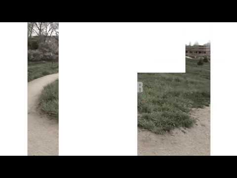 kris fox race for life