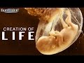 Creation Of Life Khalid Yasin