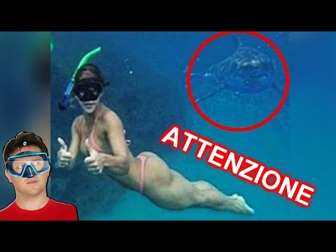 Come espellere parassiti da rimedi di gente di organismo Il helminths in occhi si è gonfiato