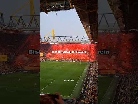 Borussia Dortmund! Wir tun das alles nur für dich! Fangesang Edit mit Text! ⚫🟡 #borussiadortmund