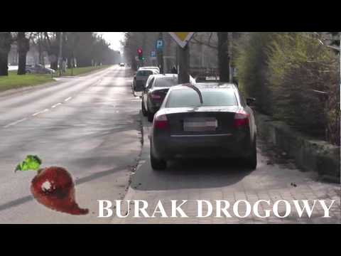 Burak drogowy w Gdańsku...