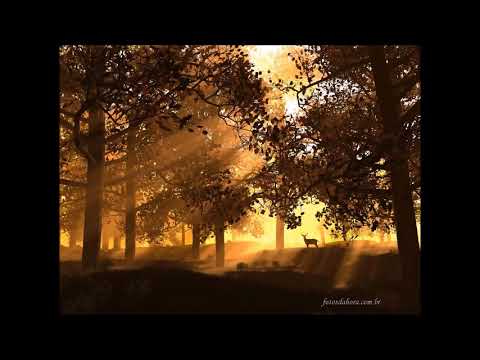 Hino 189 CCB - Oh que preciosa paz - Stella