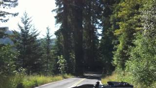 preview picture of video 'A Drive Down the Avenue of the Giants'