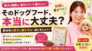 【犬との暮らし】そのドッグフード、本当に大丈夫？今すぐ原材料を見てみよう！