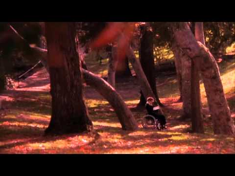 Love Affair 1994 -  - piano &humming( Ennio Morricone )