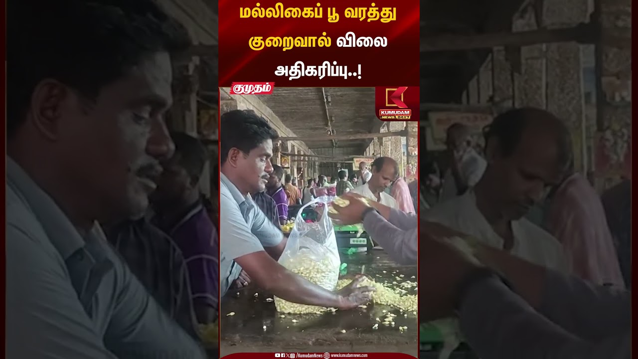 மல்லிகைப் பூ வரத்து குறைவால் விலை அதிகரிப்பு..! Tenkasi jasmine price | Kumudam News