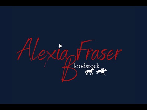 MILLIE THE MISSILE- 2021 Gold Coast National Broodmare Sale