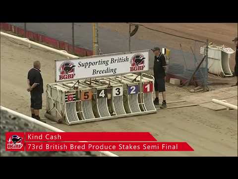 73rd British Bred Produce Stakes Semi Final - King Cash