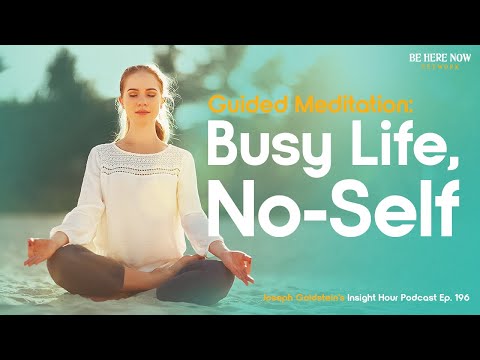 Guided Meditation: Busy Life, No-Self with Joseph Goldstein – Insight Hour Podcast Ep. 196
