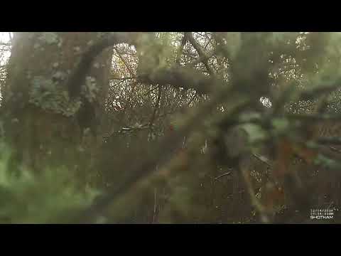 SAG NATURE srl - Ago Hunting Season 2024-25 - SHOTKAM