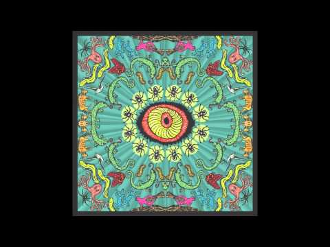 The Handsome Family - Lizard