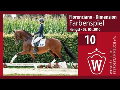 10 Farbenspiel Hengst v. Florenciano - Dimension