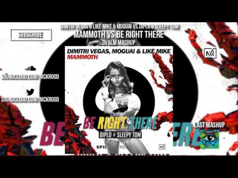 Mammoth vs.Be Right There (DV&LM Mashup)(Tomorrowland Brasil 2016)