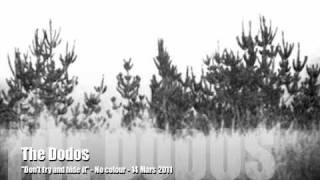 The Dodos: Don't try and hide it