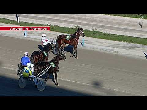 Aversa trotto 8 Gennaio 2022 - 1° Corsa