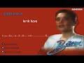 Banu Kırık Hava Güvercin Müzik Official Audio