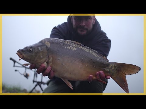 Carp fishing in spring / the first night fishing 2021