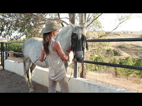 Work in hand - back to basics | Morisco part 4