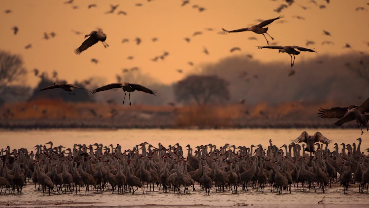 How to Save Fresh Water Flow