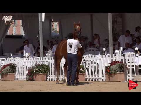 N.79 TAHANI AL KHALED - Menton 2019