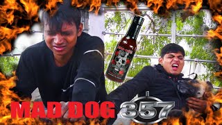 World's NO - 1 Hot Sauce - Challenge | Mad Dog 357 Reaper Hot Sauce | Hot Sauce Challenge