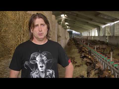 Organska farma od 900 Alpino koza - U nasem ataru 750