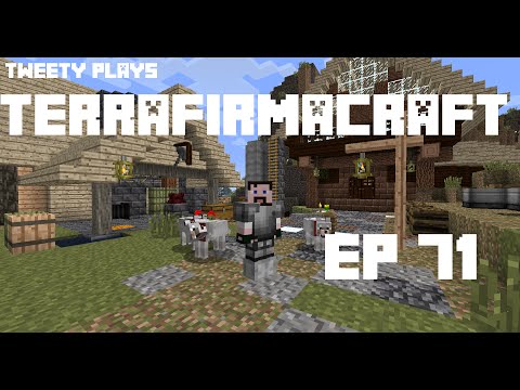 Tweety plays Terrafirmacraft ep 71 - Tour before build 79