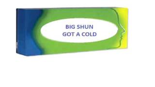 BIG SHUN - GOT A COLD
