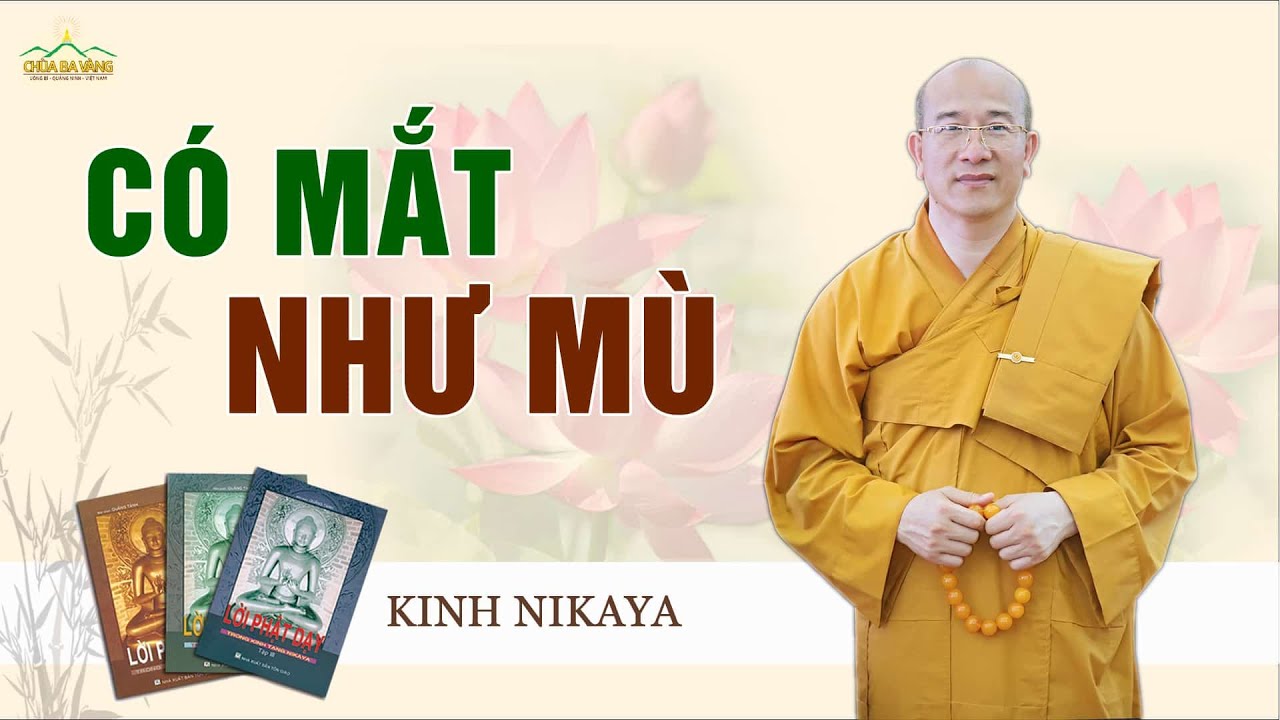 Có mắt như mù | Phẩm Làm giàu - Kinh Nikaya giảng giải