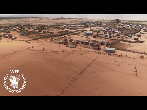 気候変動は極地の食物網の基盤を脅かす