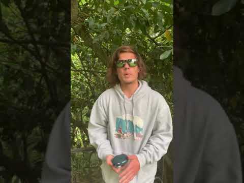 Freestyle saint pierre