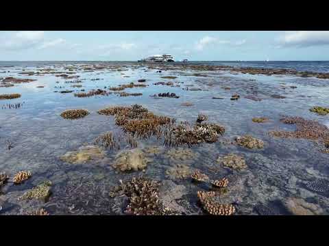 Innovative drone mapping research – a significant step in Great Barrier Reef site stewardship