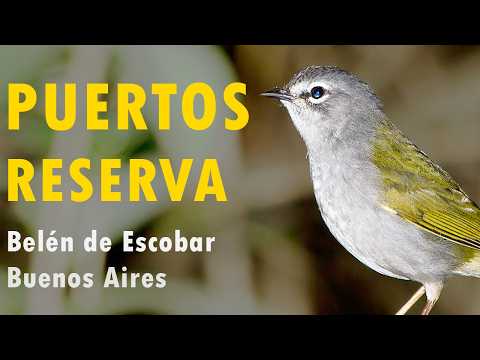 Visita a la Reserva Puertos | Belén de Escobar, Buenos Aires