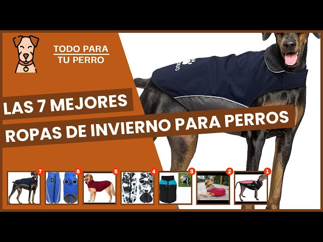 Vídeo relacionado con Dotoner Abrigo de Forro Polar cálido de Cuatro Patas para Perro,Abrigo de Invierno para Perro,Resistente al Viento,Cuerpo Completo,Acogedor Pijama Traje para pequeños,medianos y