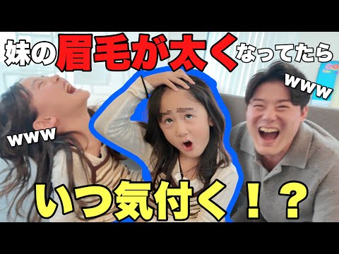 【ドッキリ】偽企画の裏で「眉毛が太くなってたらいつ気づくのか」検証してみたw