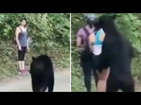 Messico, l’orso arriva alle spalle della ragazza: lei resta calma e scatta anche un selfie