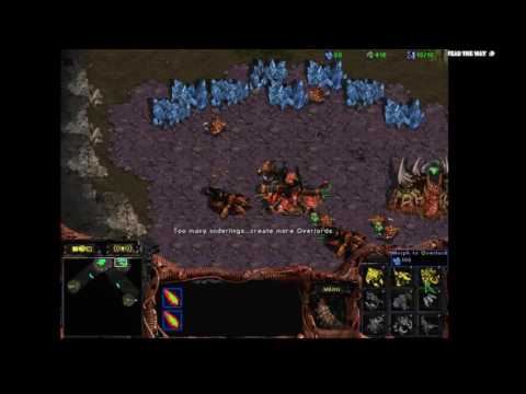 starcraft, ai, stone, bot, iron, dll, amazing, muta rush, queen