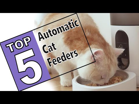 ⭐The 5 Best Automatic Cat Feeders Of 2021 - Review Guide