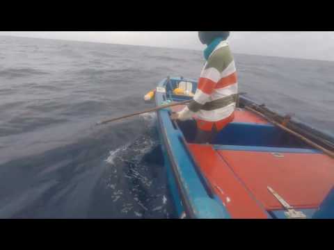 Pêche DCP Belpoisson Martinique