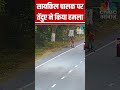 ViralVideo सायकिल चालक पर तेंदुए ने किया हमल�