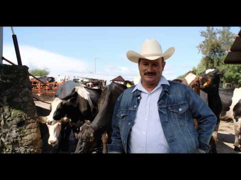 Testimoniales Rabon - 2016