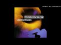 14 When I Die (Terrorvision - Shaving peaches)