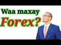 Casharka 1 Aad Waa Maxay Forex Sidee Ayuuna Ushaqeeyaa