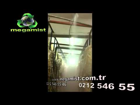 Mantar Odası Nemlendirme video önizleme