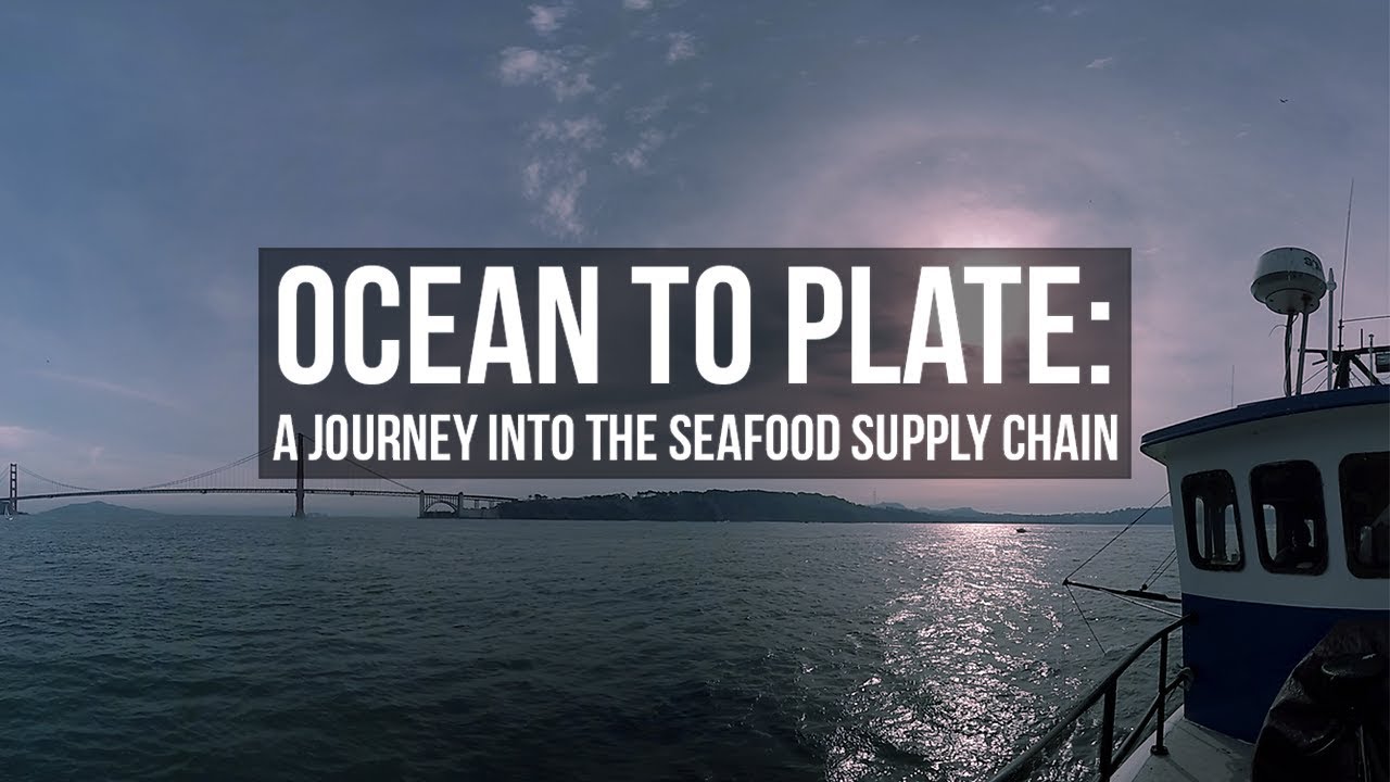 Ocean to Plate: A Journey into the Seafood Supply Chain