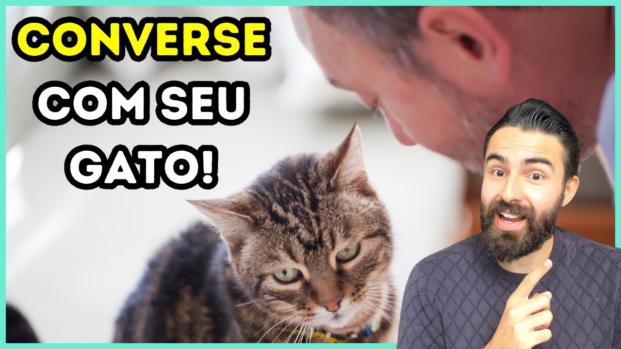 5 Razões Pelas Quais Você Deve CONVERSAR Com Seu Gato!