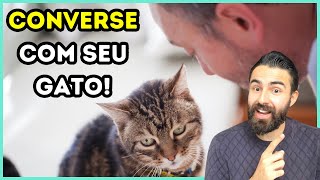 5 Razões Pelas Quais Você Deve CONVERSAR Com Seu Gato!