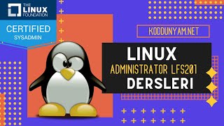 Linux Administrator (Yöneticilik) Eğitimi - Kernel Modulleri