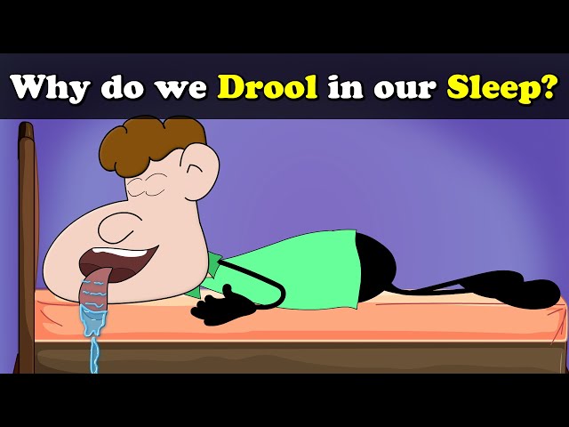 Video Pronunciation of drool in English